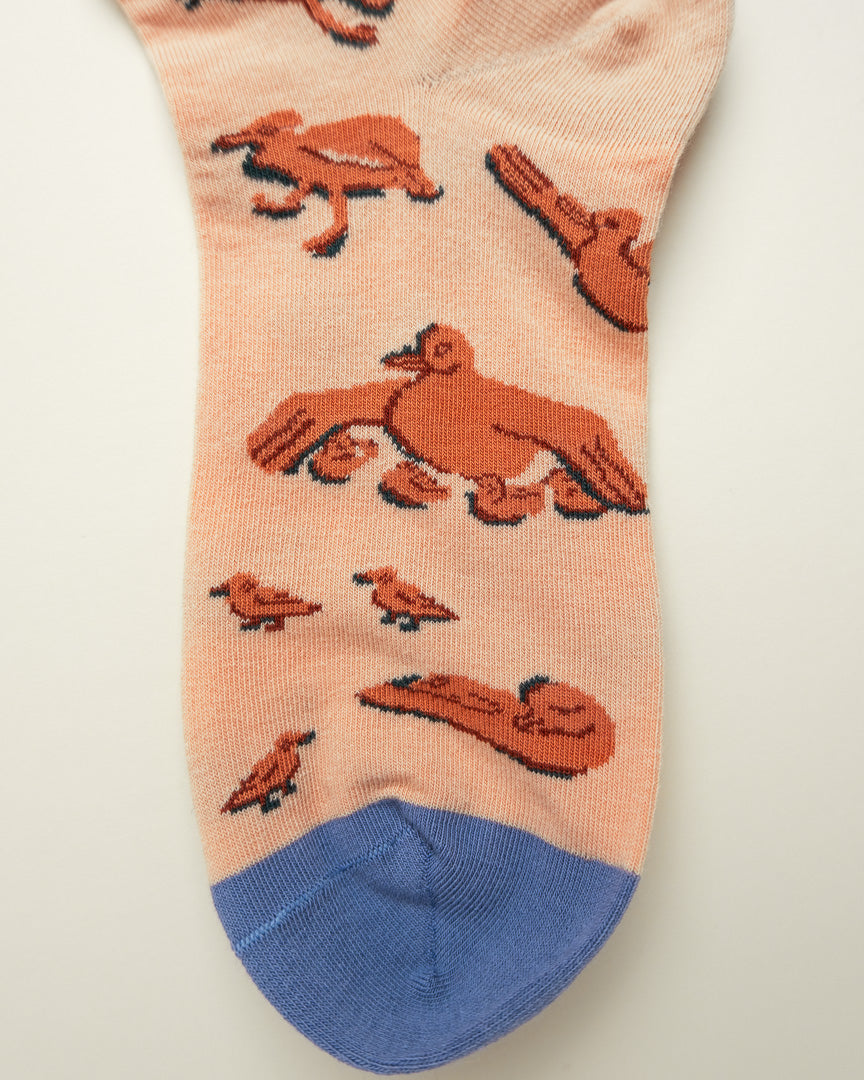 Soaring Tales – Women’s Crew Socks