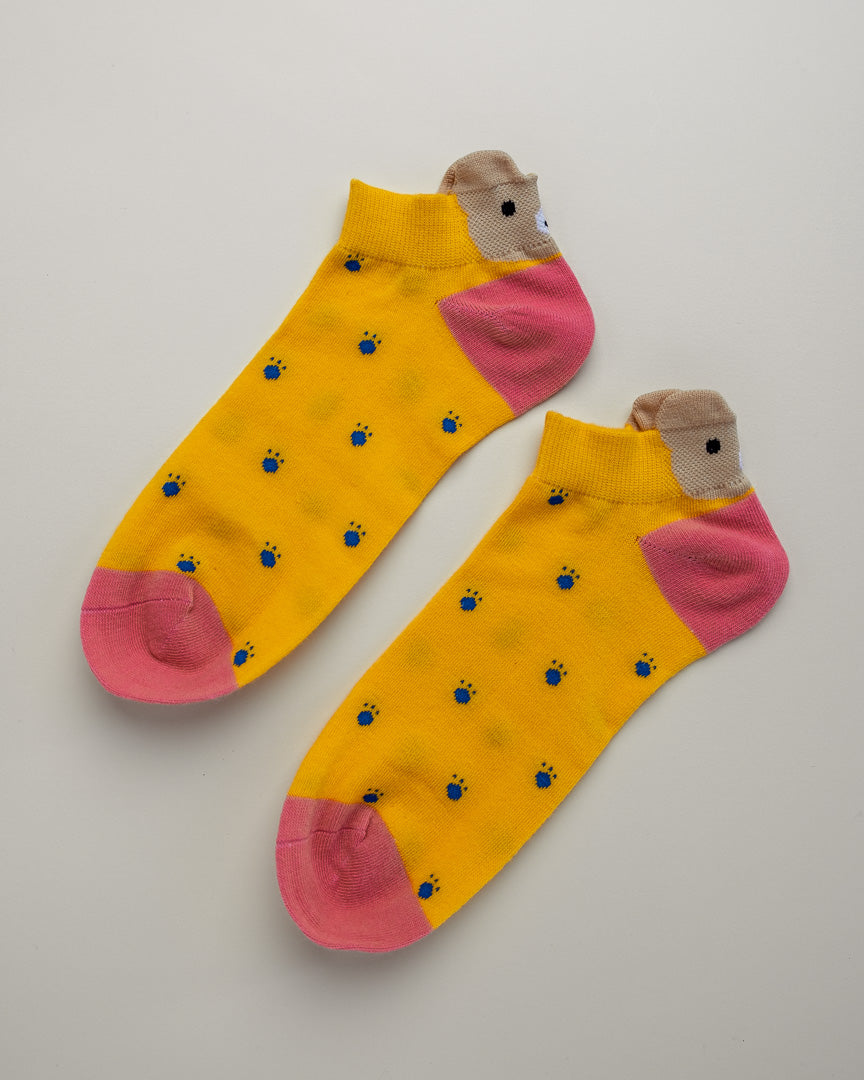 Polka Dot Bear – Cute Women’s No Show Socks