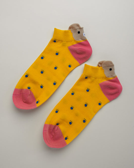Polka Dot Bear – Cute Women’s No Show Socks