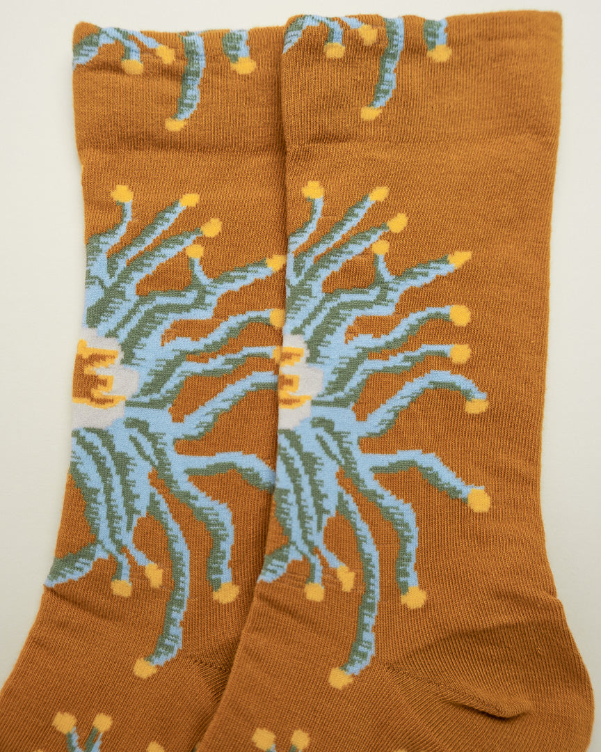 Golden Bloom – Women’s Crew Socks