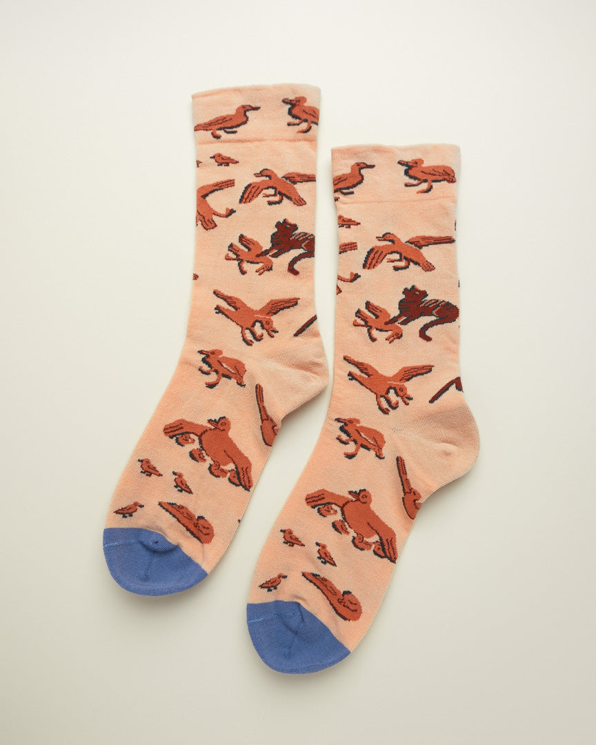 Soaring Tales – Women’s Crew Socks