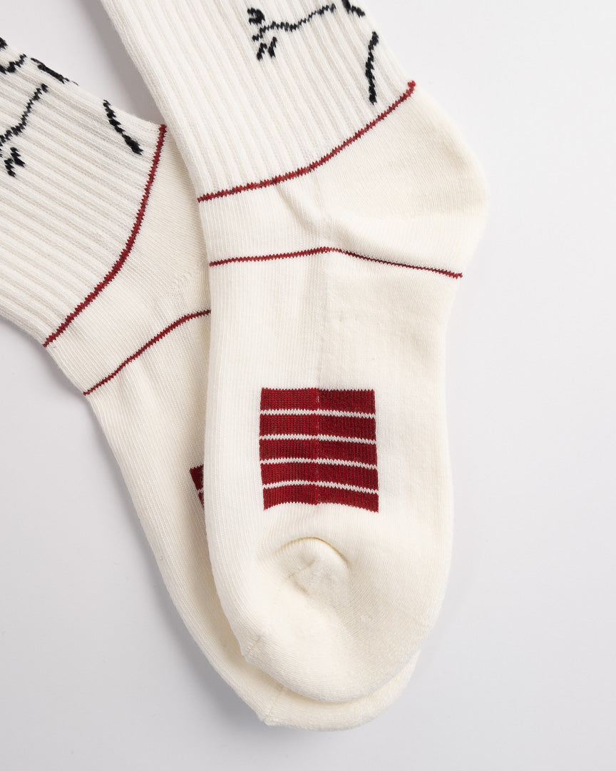 Women’s Cotton Terry Crew Socks – Sweat-Absorbing Cushioned Everyday Socks